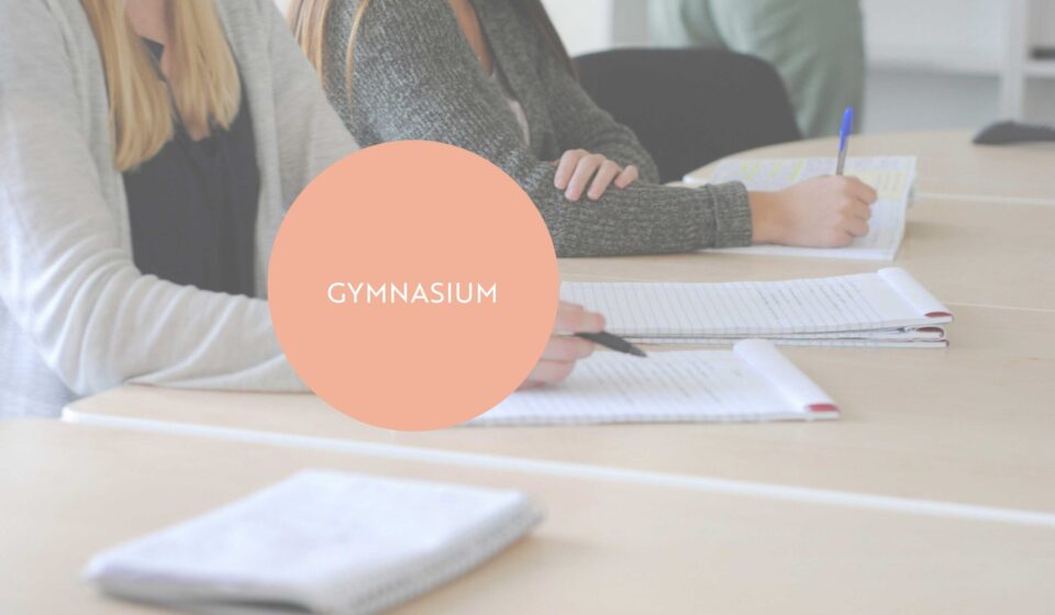gymnasium gymnasium